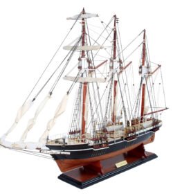 Expedition Ships