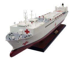 Hospital Ships