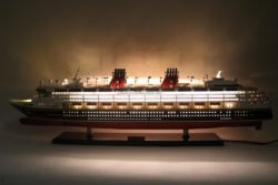 Disney Wonder with Lights