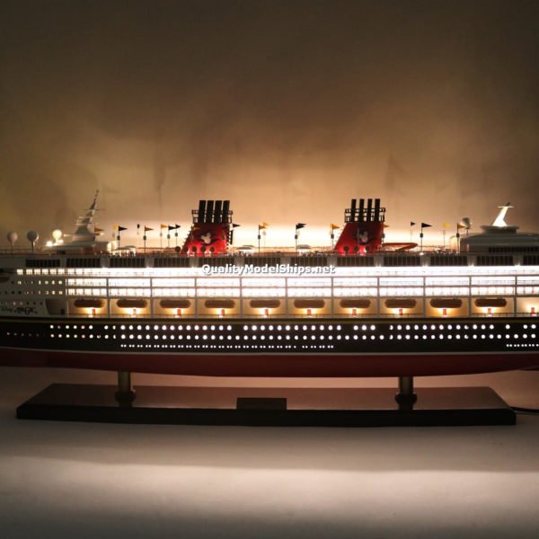 Disney Wonder with Lights