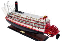 Paddle Steam Ships