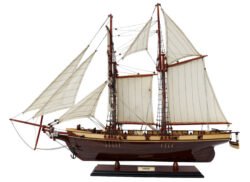 Schooner / Training Ships