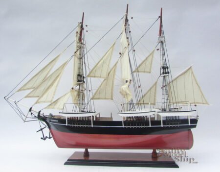 Wanderer Whale Bark Handcrafted Wooden Display Ship Model